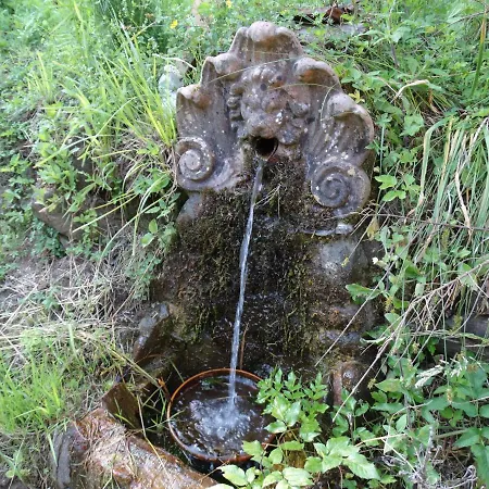 Casa Carlino Prázdninový dům *